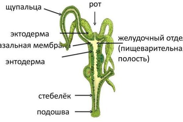 Актуальные ссылки даркнет